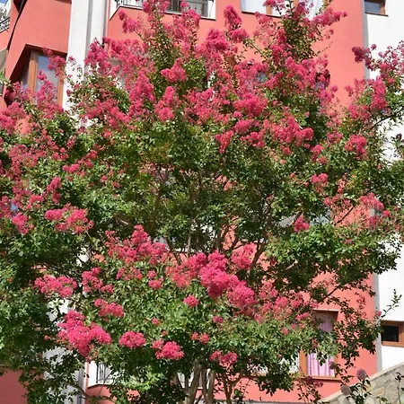 Akrotiria *